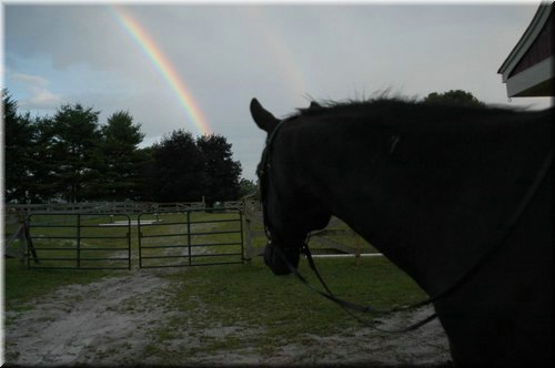 Callie contemplates a rainbow.