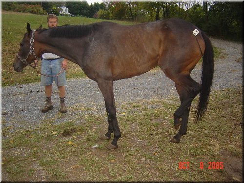 Madison on rescue day.