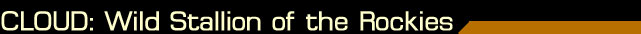 Cloud: Wild Stallion of the Rockies
